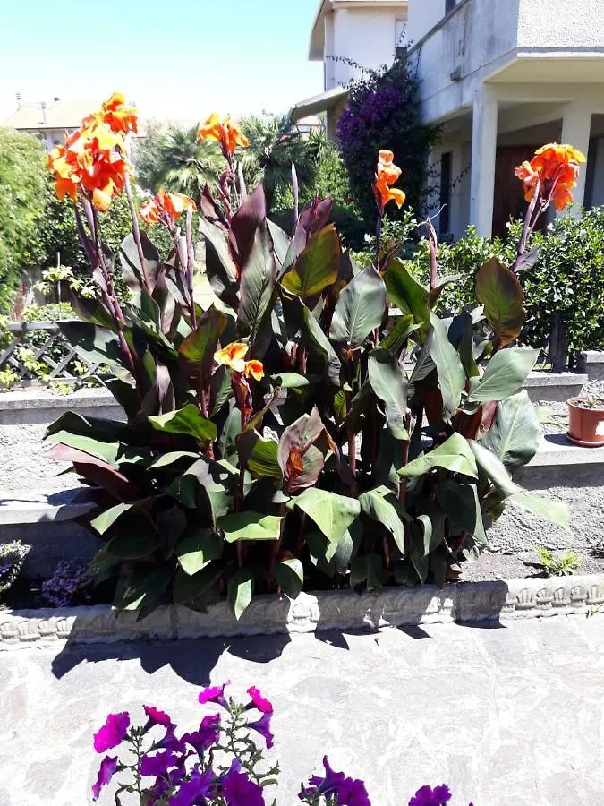 Casa Marina Villa Donoratico Holiday home